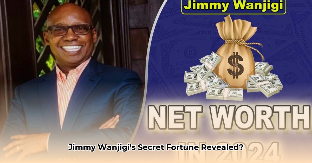 jimmy-wanjigi-net-worth